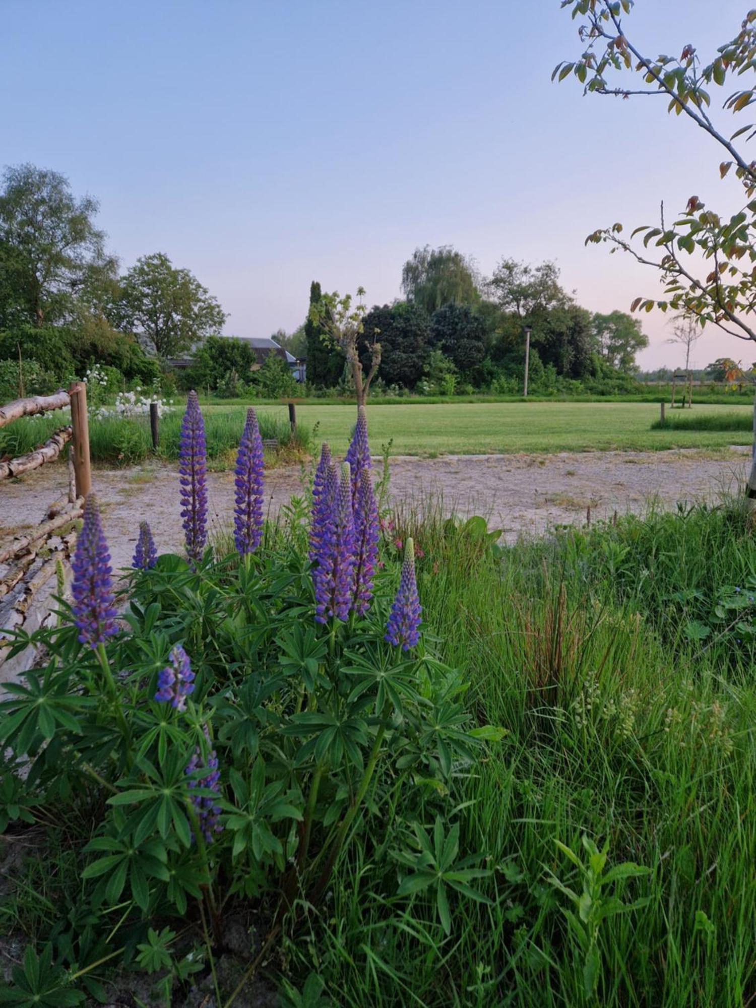 De Wilde Tuin - Tuinkamer Moergestel Buitenkant foto